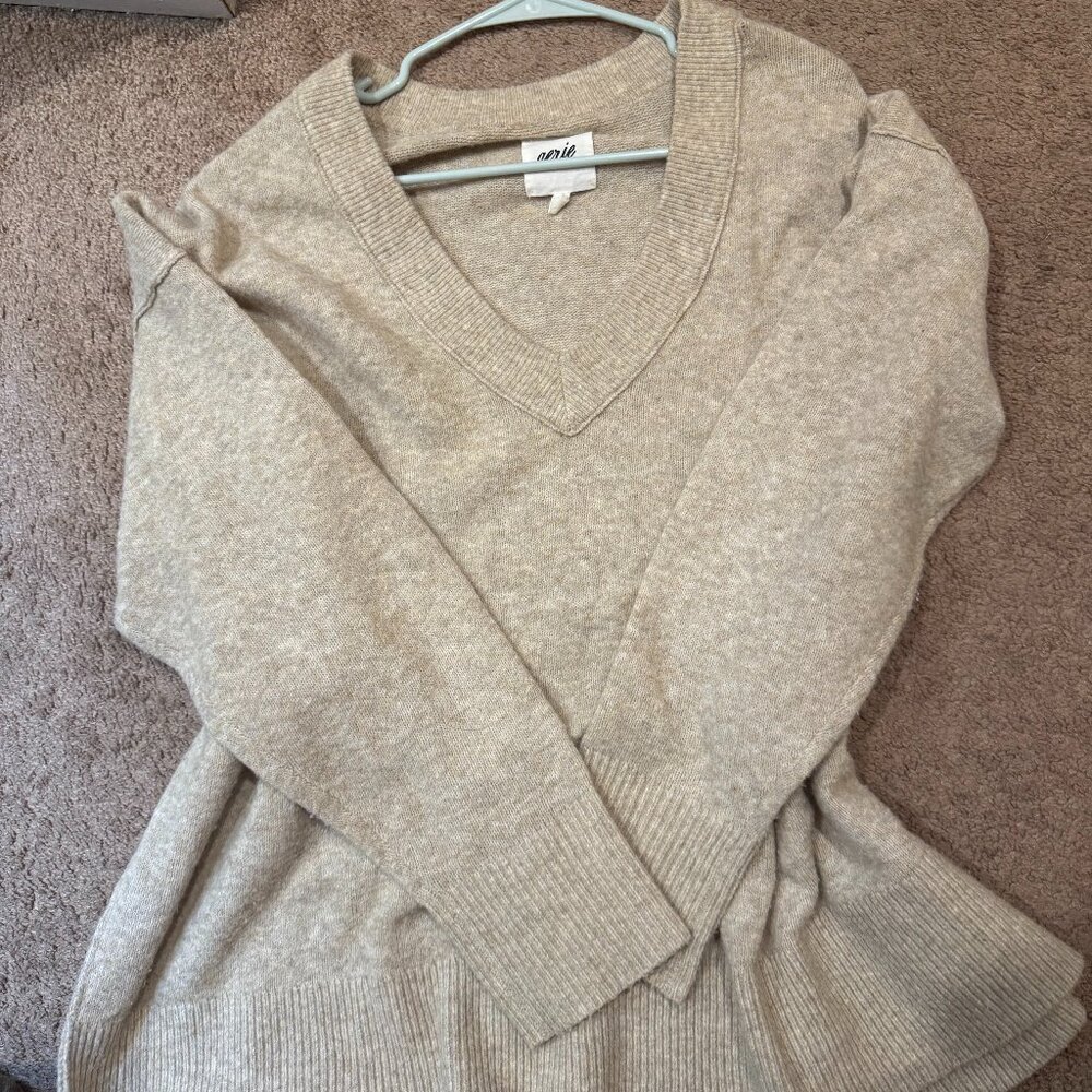 Large Aerie V-Neck Sweater
